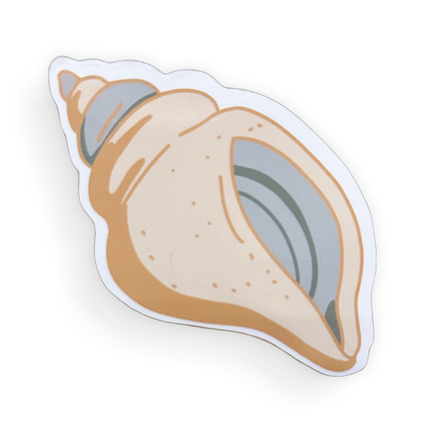 SHELL STICKER