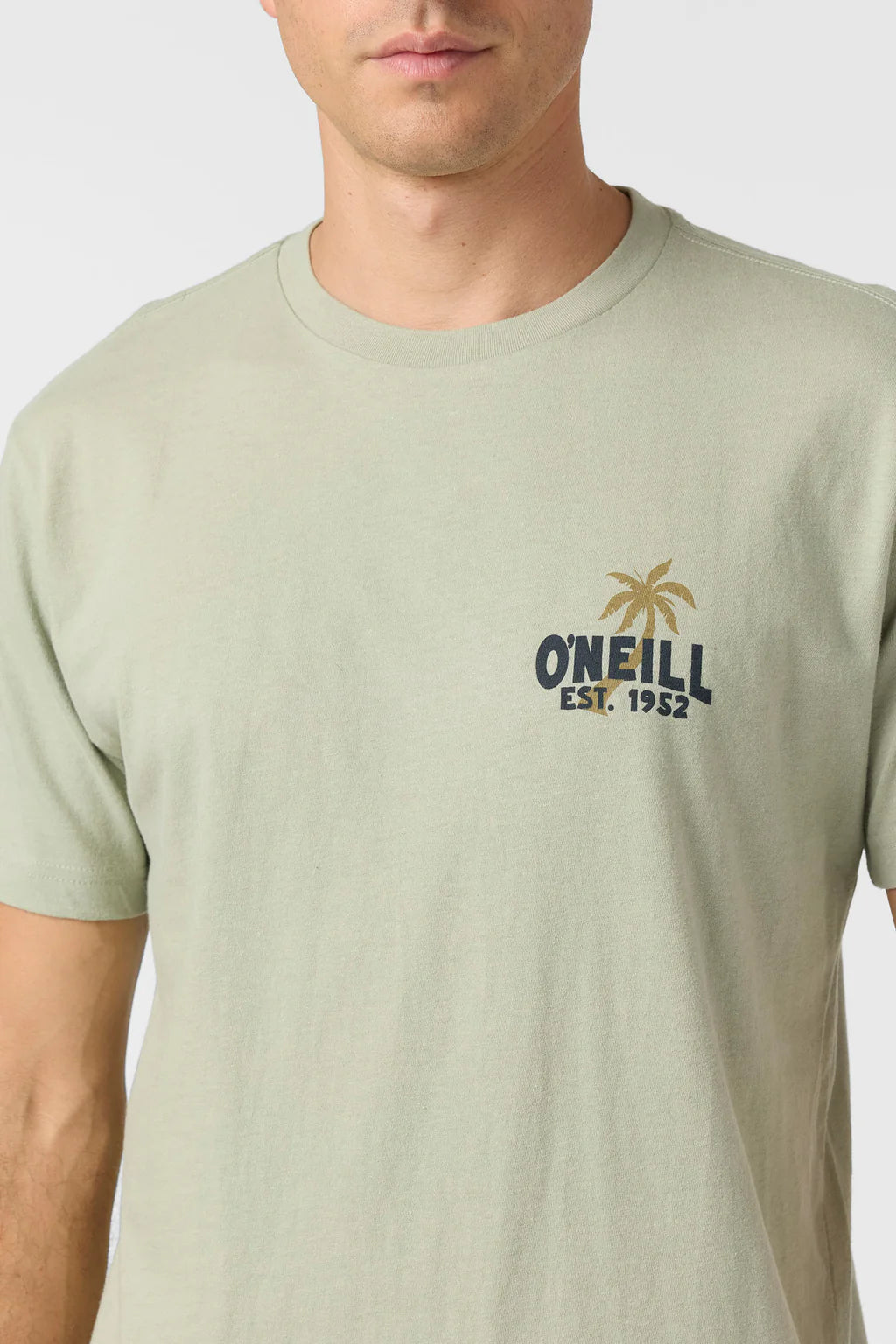 O'NEILL AXELRAD STANDARD FIT TEE
