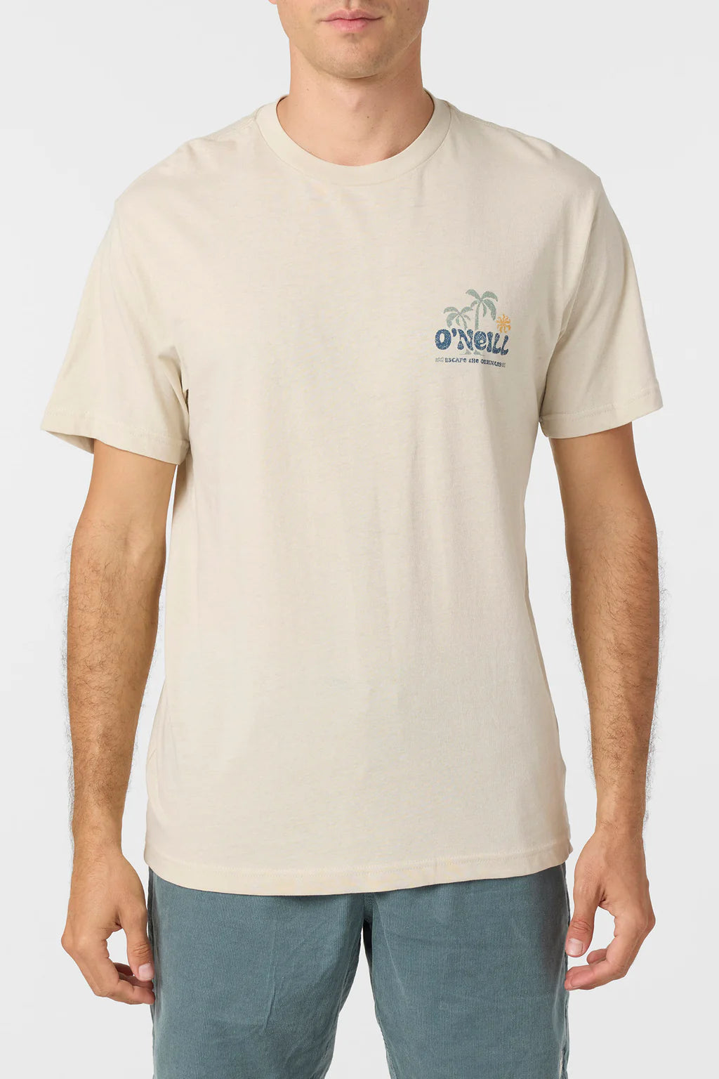 O'NEILL LOOSE STANDARD FIT TEE