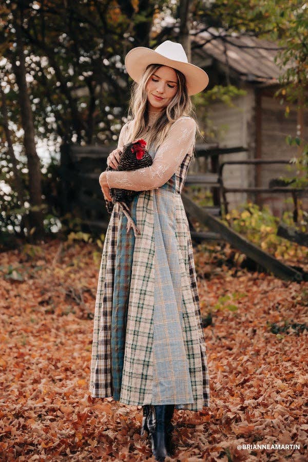 Three Bird Nest Western Charm Checkered Dress