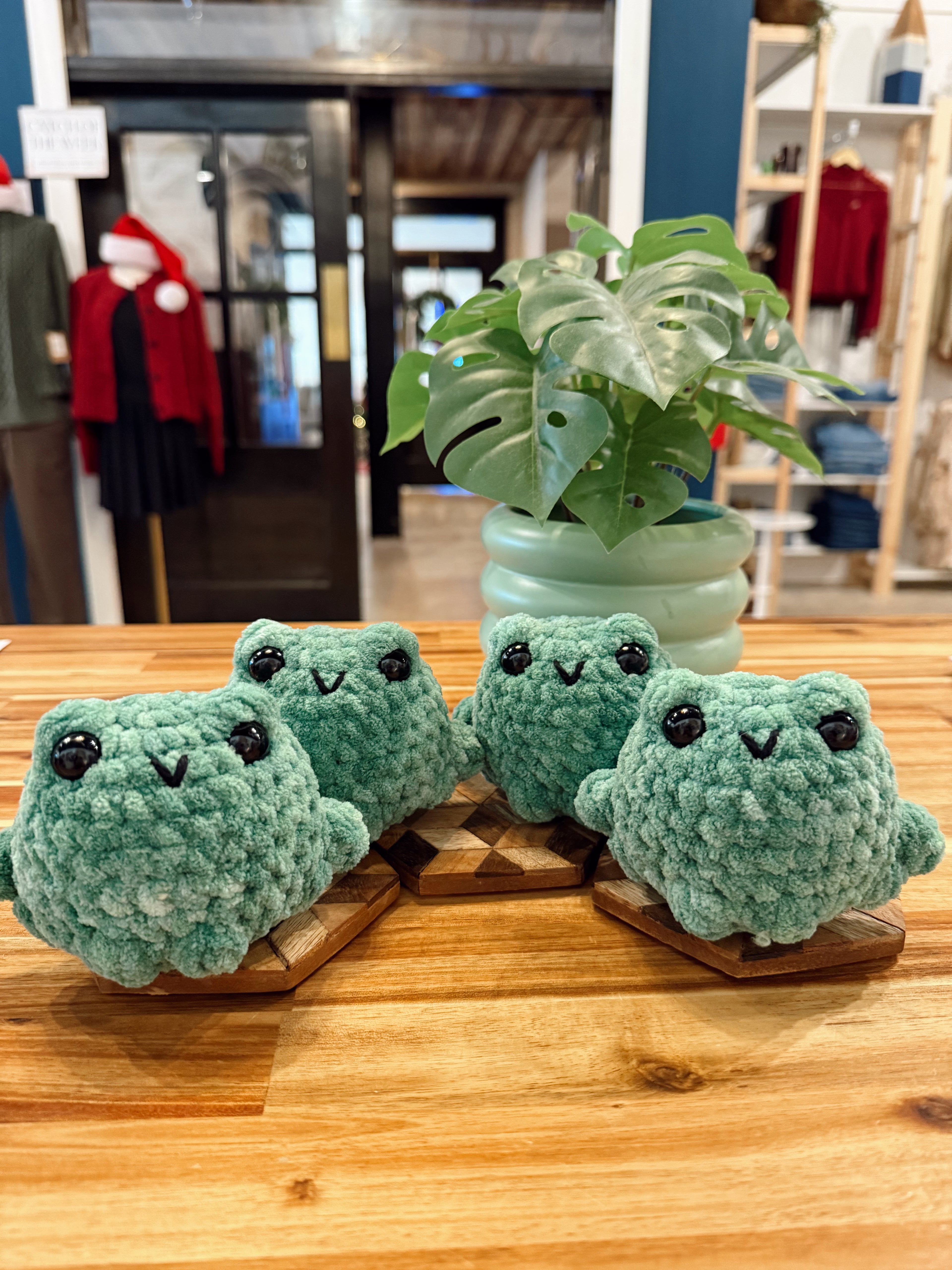 The Yarn Barn NC Frog Plushie (small)