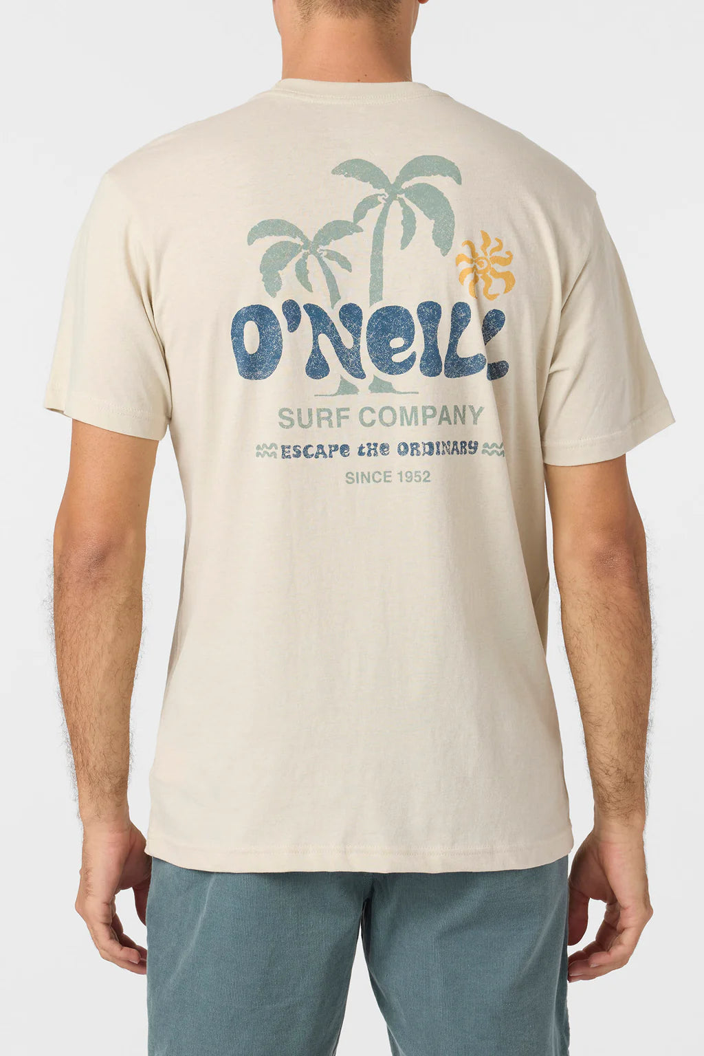 O'NEILL LOOSE STANDARD FIT TEE