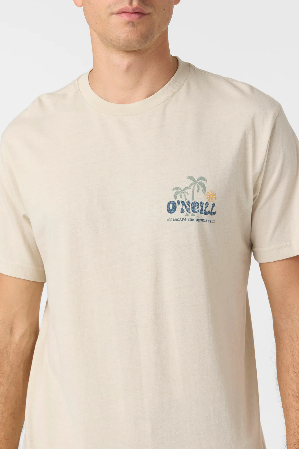O'NEILL LOOSE STANDARD FIT TEE